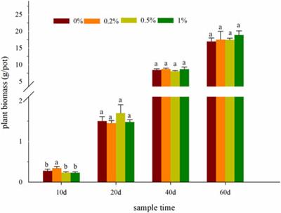 Physicochemical Properties, Metal Availability, and Bacterial Community Structure in Cadmium-Contaminated Soil Immobilized by Nano-Montmorillonite